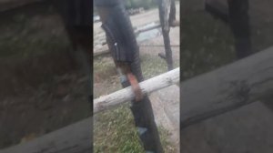 Станок для лошадей 1 вариант