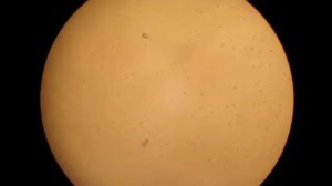 Микроскоп Микромед Р-1