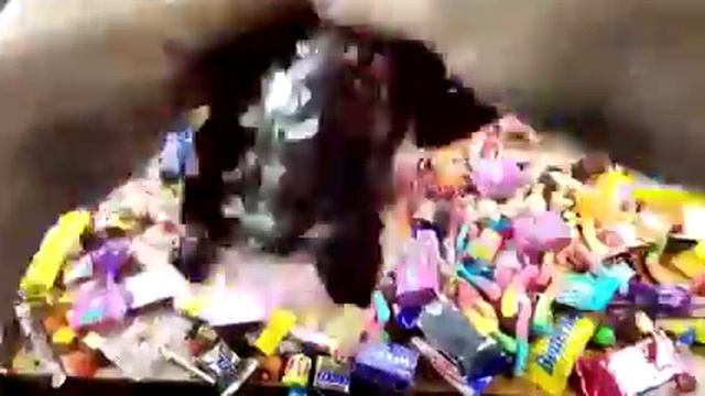 A Lot Of Candy, очень много конфет