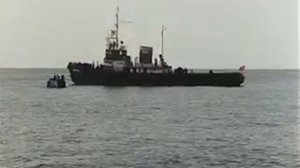 Боевик "Чёрный орёл."