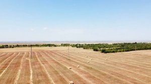 Прессование соломы в рулоны ПРЕСС ПОДБОРЩИКОМ ПРФ 180 Б на сжатом поле. Аэровидеосъёмка, Приморск