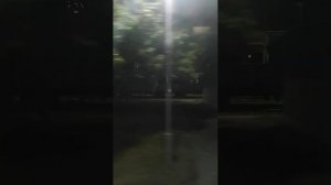 Отправление со станции Кибартай в сторону Вильнюса (приграничная станция России и Литвы)