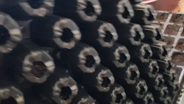 Кассеты для рассады. Экономят место.