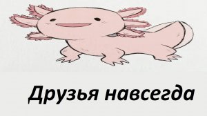 друзья на всегда НО (по  картинкам)