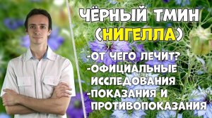 ЧЁРНЫЙ ТМИН (чернушка посевная): полезные свойства, использование в медицине.