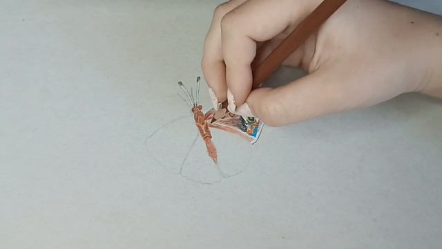 Как нарисовать бабочку цветными карандашами ? смотреть онлайн