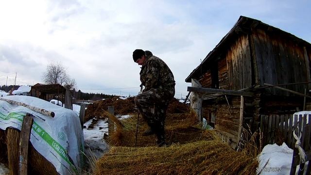 Чем и как разрезать рулон сена . Сечка для сена.