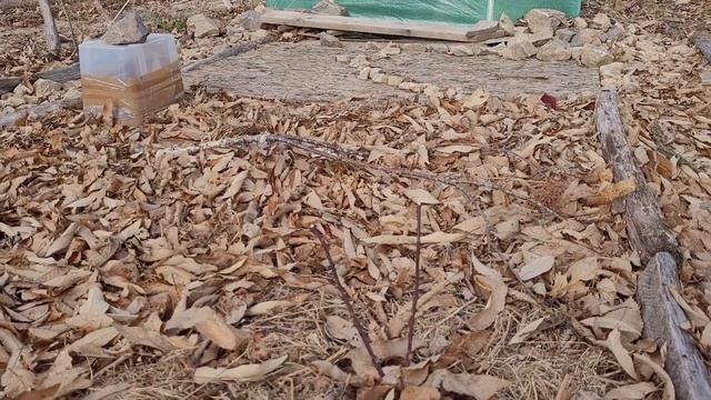 Сад и огород, разбитый на скалистом склоне #участок на склоне #сад на склоне #огород на склоне