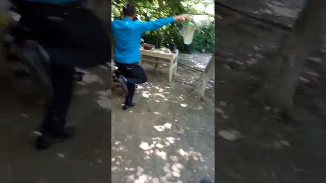 кашкадарё камаши гиштли