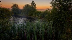 "АХ ТЫ, НОЧЕНЬКА"... (Фото из альбома Дм. Асеева (Москва) - Поёт Николай Гедда).wmv