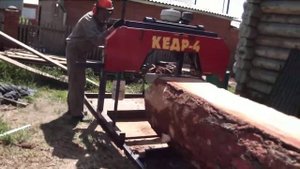 Распиловка лиственницы на ленточной пилораме КЕДР - 4