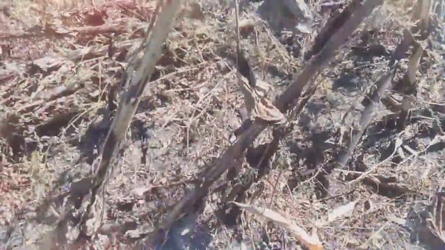 В полях. смотреть онлайн