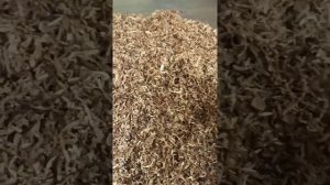 Табак на развес от Мактабак. Обзор на ХАЛФЗВАР.