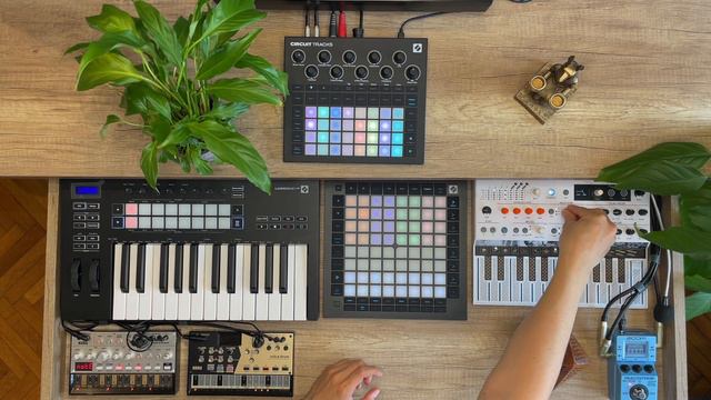 Dawless downtempo synth jam- great budget setup|Circuit Tracks|Microfreak|Launchpad Pro|Korg Volca смотреть онлайн