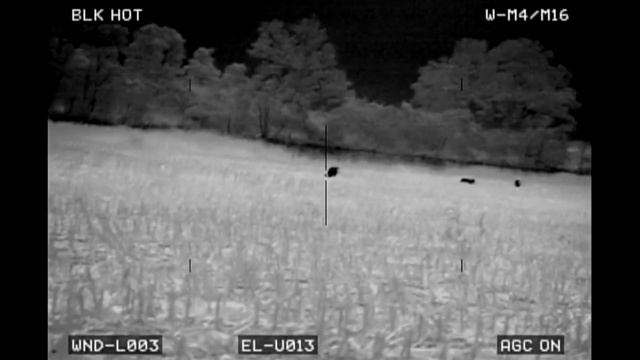 Stacking Hogs with NFL Linebacker Dekoda Watson | Hog Hunting with Thermal смотреть онлайн