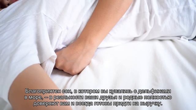 К чему снится дельфины в море? Толкование сна и его значение по сонникам Ванги и Фрейда