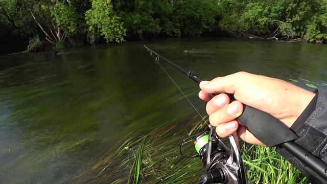 Вот это клюнуло! РАДИ ТАКОЙ РЫБАЛКИ СТОИЛО МОКНУТЬ под ДОЖДЁМ! смотреть онлайн