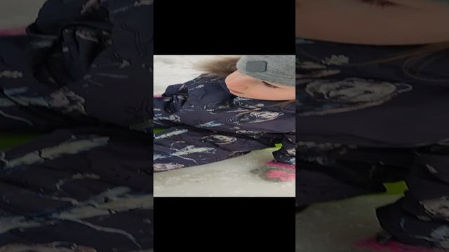 1000031745.mp4