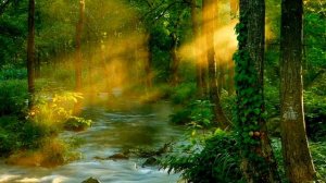 Love Story by Indila(Ethereal Instrumental Full Version)