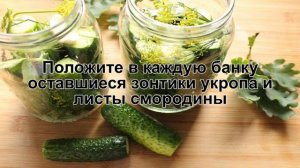 КАК ЗАСОЛИТЬ ОГУРЦЫ ХОЛОДНЫМ СПОСОБОМ? Хрустящие, вкусные соленые огурцы на зиму в банках без уксус