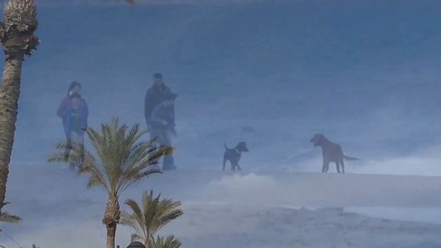 PLAYA DE MUCHAVISTA - El Campello смотреть онлайн