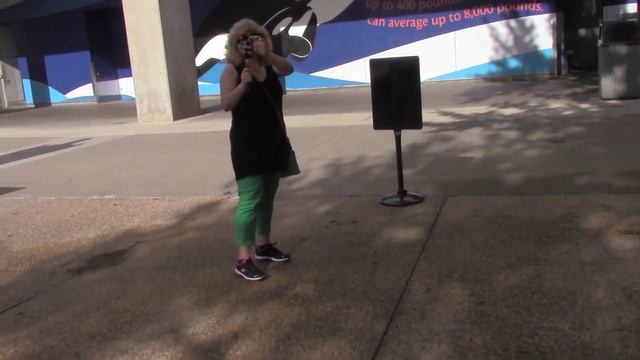 242.США.ПИНГВИНЫ , КАСАТКИ и вареные яйца с капустой))Lyubov Reed смотреть онлайн