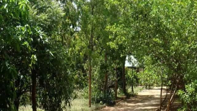 Шри-Ланка, Anuradhapura District, Хабарана - Le Grand Meaulnes 3 Star смотреть онлайн