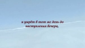 Слова которые заведут тебя в Рай, по воле Аллаха!Говори будучи убеждённым в это дуа.