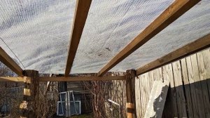 Бизнес на навозе // перепелиный помет // теплица из стрейч пленки