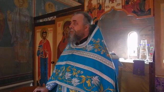 Хламидомонада смотреть онлайн