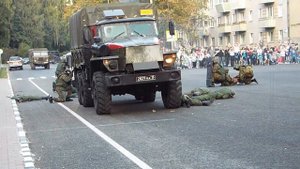 "Спецназ" Настя Башманова