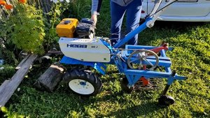 Картофель 2023