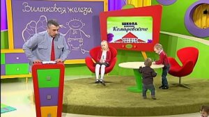 Для чего нужна вилочковая железа (тимус) и что делать если она увеличена? - Доктор Комаровский