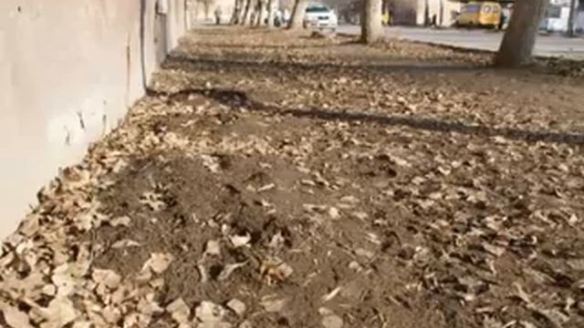 Эх, дороги городские.... смотреть онлайн