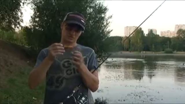 Хорватское-яйцо-bumble-lure-review-russia.mp4 смотреть онлайн