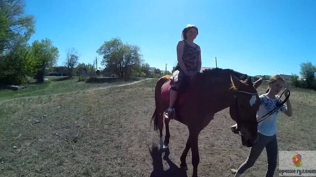 ОРСК .#орчанегуляют в дворике!!! В каком ???Смотрите сами. Оренбургская область.Будни орчан. смотреть онлайн