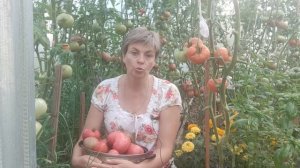 82. Мои ошибки при выращивании ТОМАТОВ в 2021 году.