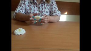 Мастер-класс "Ромашка из салфеток"