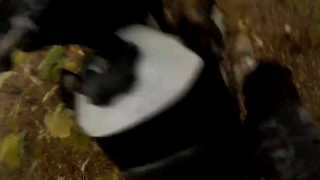 Enduro on Suzuki TS200R and Yamaha YZ125... 2015 09 21 16+ смотреть онлайн