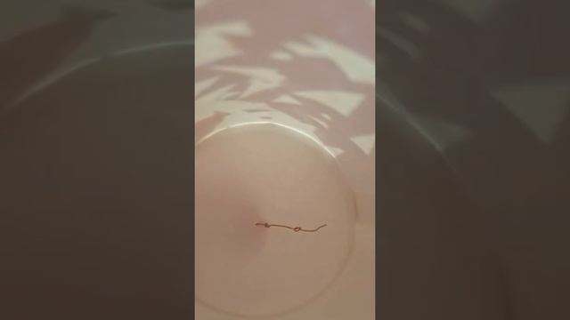 как сделать из одноразовых стаканчиков тилифон смотреть онлайн