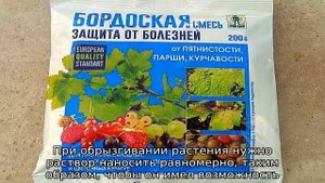 Бордосская жидкость для винограда