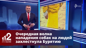 Очередная волна нападения собак на людей захлестнула Бурятию