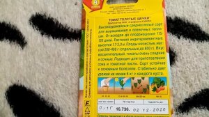 Томат " ТОЛСТЫЕ ЩЁЧКИ". Мои ЛЮБИМЫЕ СОРТА ПОМИДОР.  13.01.2020.