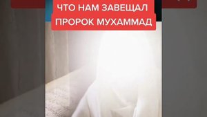 Что нам завещал пророк Мухамад В Турции в ноябре 2022 землетрясение