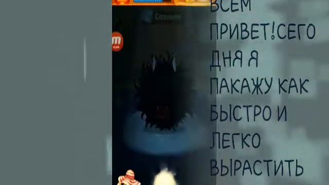 Как быстро и легко вырастить кари смотреть онлайн