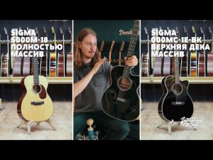 Стоит ли покупать гитару из массива или достаточно массива верхней деки?