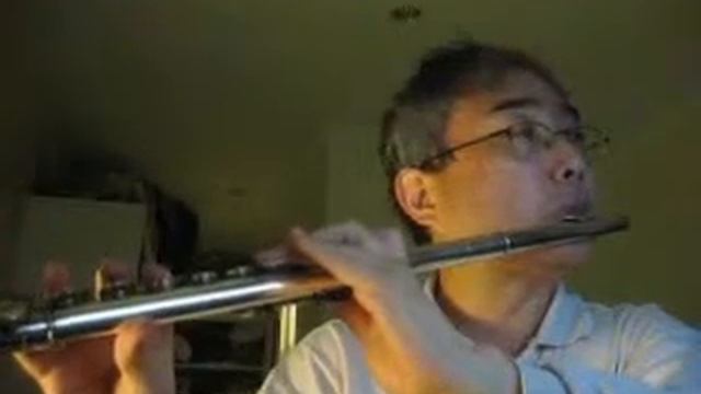 찬송가 Hymn - 146 장 - 저 멀리 푸른 언덕에 (Far Away in the Green Hills) - Pearl Nickel Flute смотреть онлайн