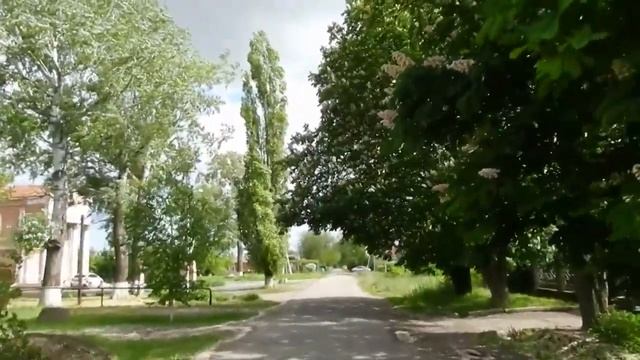 ТОПОЛЯ, ТОПОЛЯ ВСЕ В ПУХУ Идём по Улице под Гитару