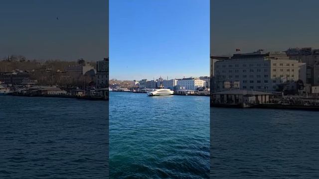 На берегу Босфора