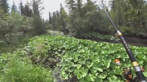 Таёжная Рыбалка в ДЕБРЯХ ТАЙГИ/ ЛОВЛЯ ХАРИУСА_/ Разведка РЕКИ в Глухой Тайге!